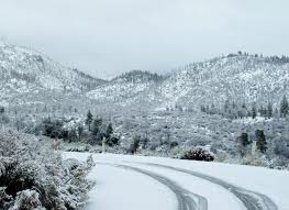 Featured image of post Great Smoky Mountains National Park Winter / The forests of great smoky mountains national park are noted for humid weather patterns.